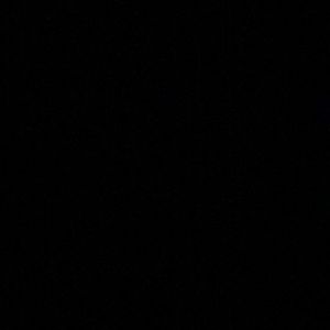 Meet your Posher, Leython